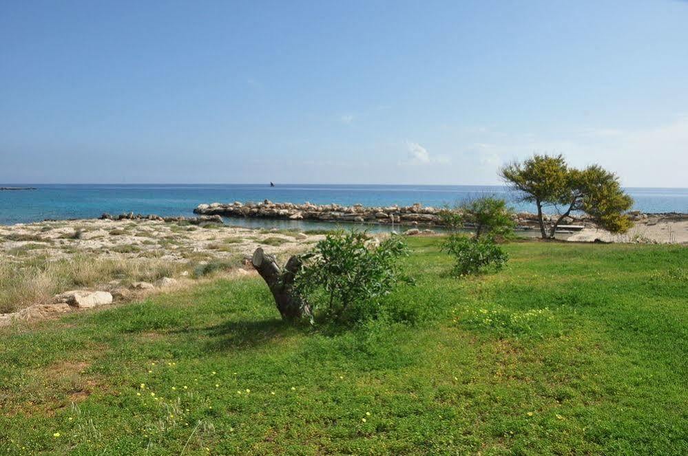 Harry'S Hotel Protaras Zewnętrze zdjęcie